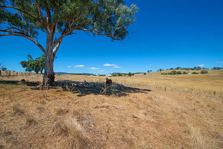 Third view of Homely rural property listing, 146 Tuckermans Road, Mudgee NSW 2850