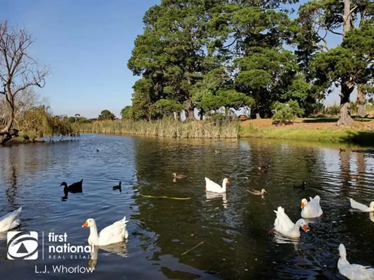 Fifth view of Homely land listing, Lot 61 Rangeview Drive, Riddells Creek VIC 3431