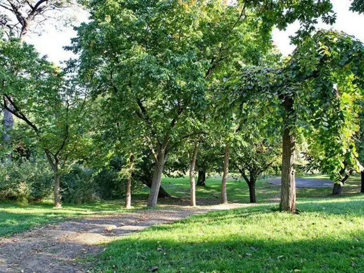 Sixth view of Homely land listing, Lot 55 Yellowgum Avenue, Riddells Creek VIC 3431
