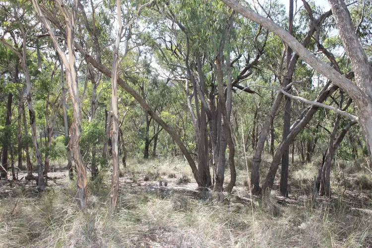 Second view of Homely rural property listing, 160 Alpha Road, Mudgee NSW 2850