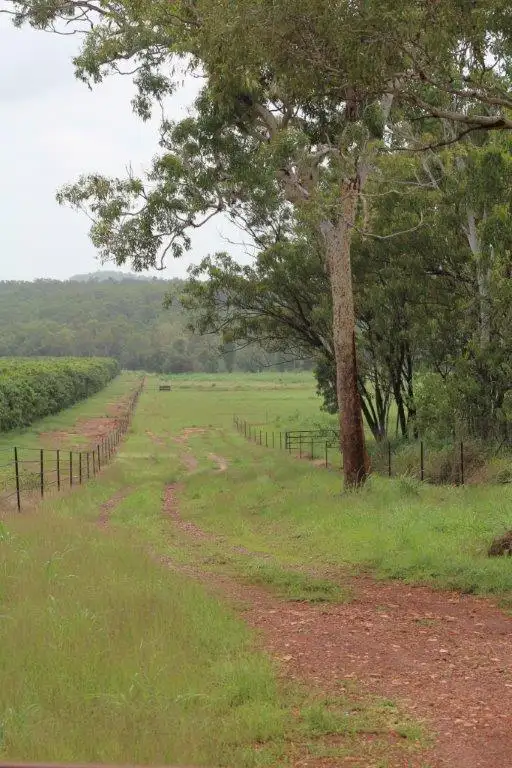 Seventh view of Homely rural property listing, 585 Miles Road, Batchelor NT 845