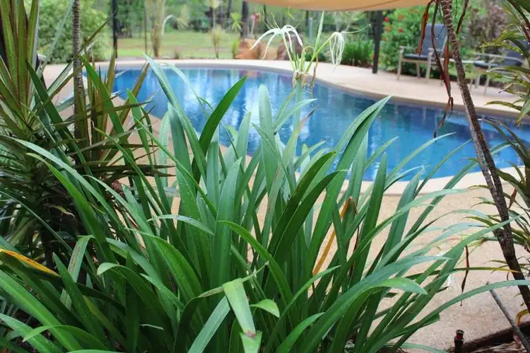 Third view of Homely rural property listing, Lot 2359 Old Bynoe Road, Livingstone NT 822