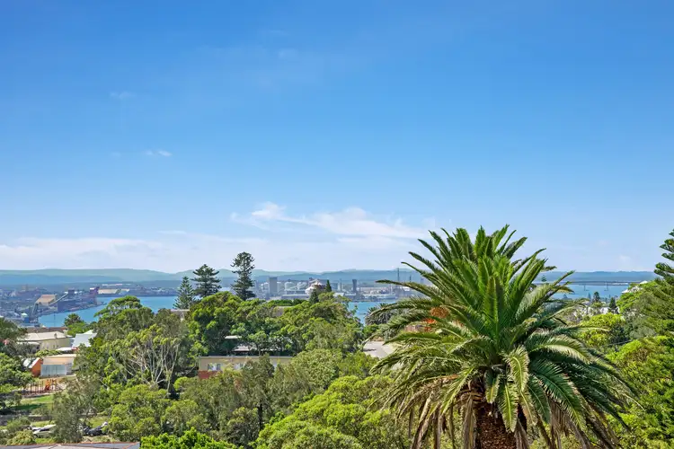 Third view of Homely terrace listing, 2 Bingle Street, The Hill NSW 2300