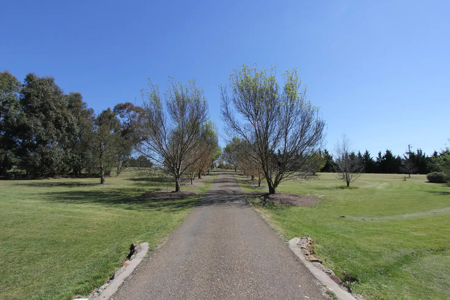 Main view of Homely house listing, 166 Ducks Lane, Goulburn NSW 2580