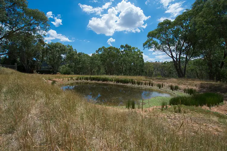 Fifth view of Homely rural property listing, 146 Roberts Road, Mudgee NSW 2850