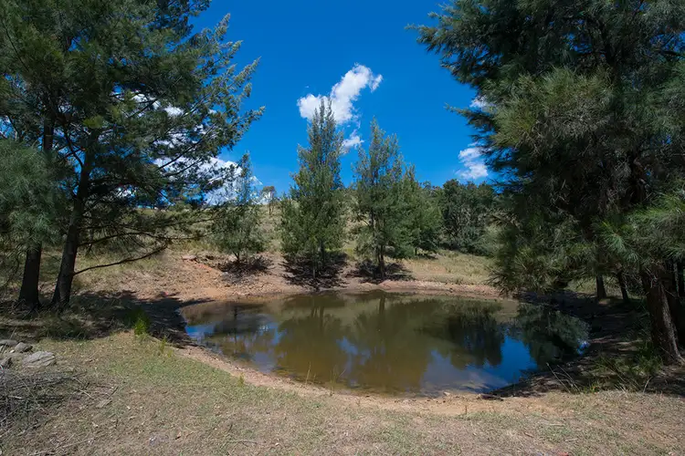 Sixth view of Homely rural property listing, 146 Roberts Road, Mudgee NSW 2850