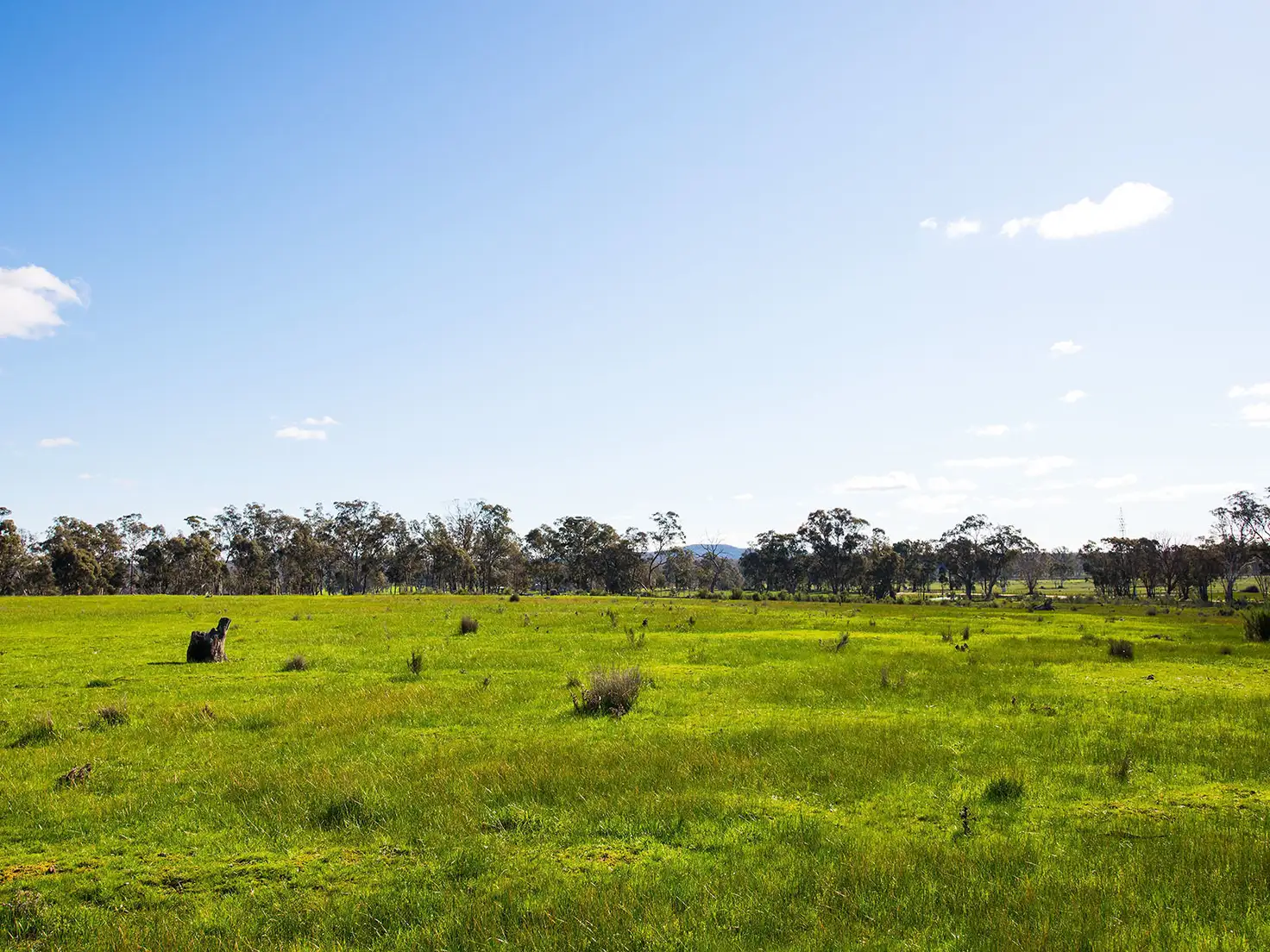 Main view of Homely rural property listing, LOT 2 Cnr Muckleford-Walmer & Troy Road, Walmer VIC 3463