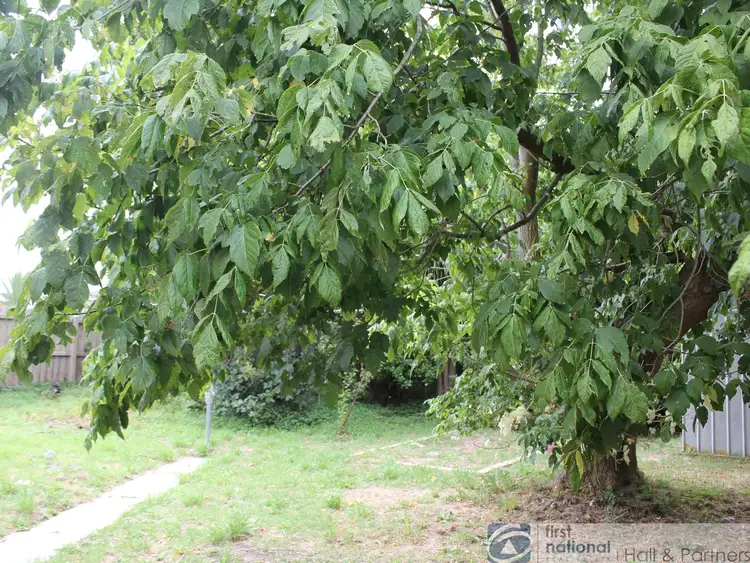Second view of Homely house listing, 19 Crimson Drive, Doveton VIC 3177
