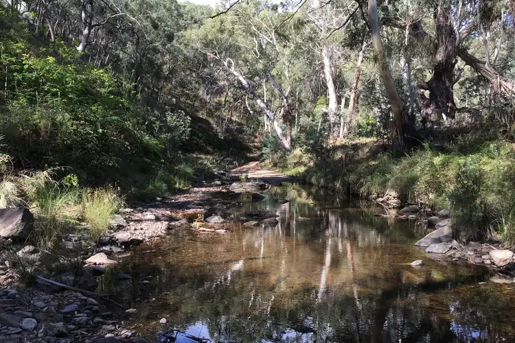 Main view of Homely rural property listing, 643 Campbells Creek Road, Mudgee NSW 2850
