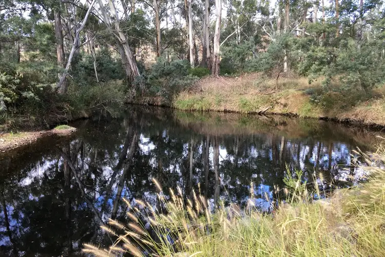 Third view of Homely rural property listing, 643 Campbells Creek Road, Mudgee NSW 2850