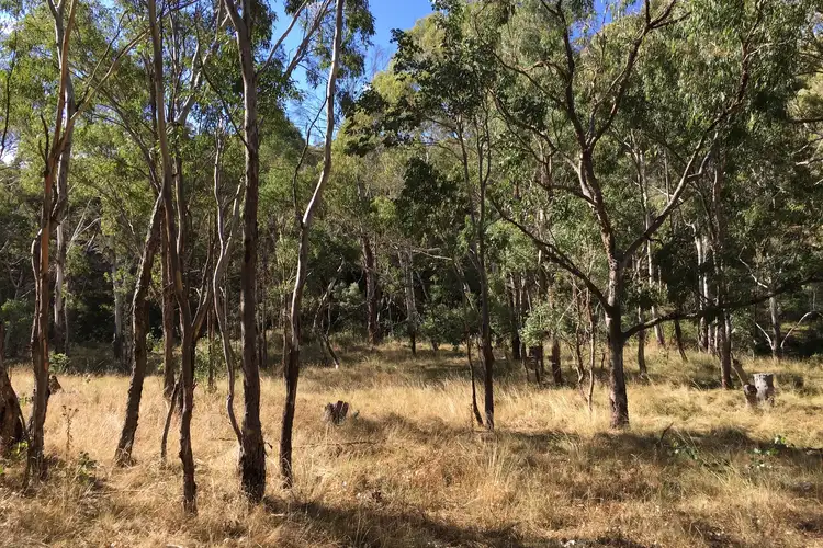 Fifth view of Homely rural property listing, 643 Campbells Creek Road, Mudgee NSW 2850