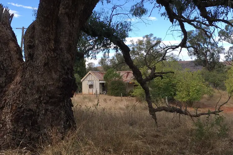 Sixth view of Homely rural property listing, 643 Campbells Creek Road, Mudgee NSW 2850