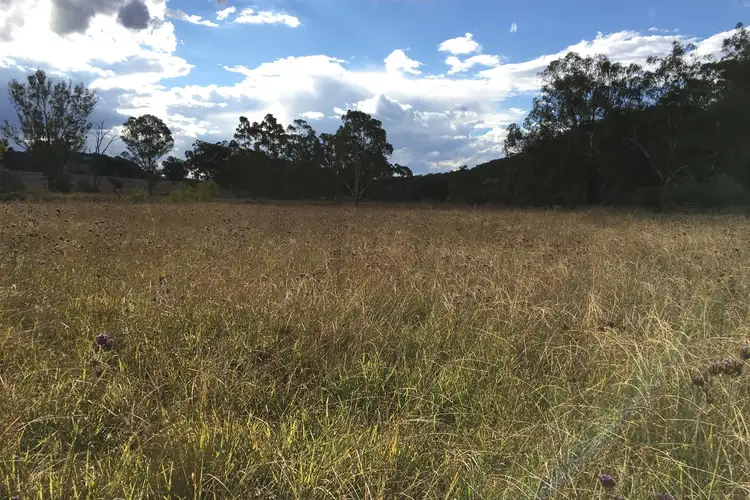 Seventh view of Homely rural property listing, 643 Campbells Creek Road, Mudgee NSW 2850