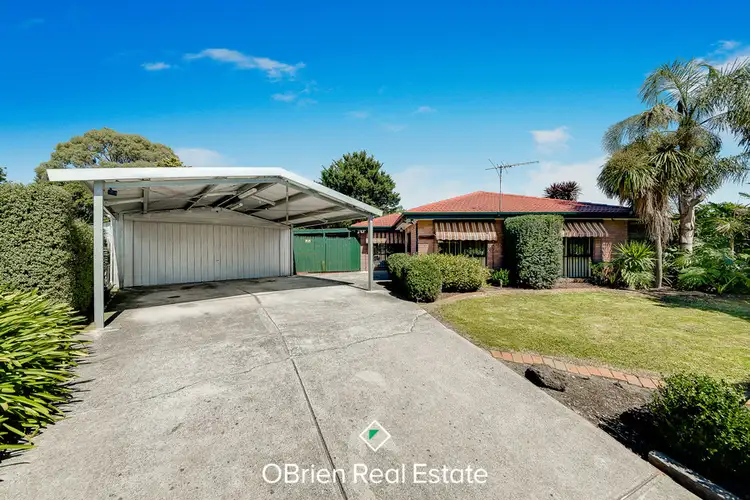 11 Strzelecki Court, Cranbourne North VIC 3977