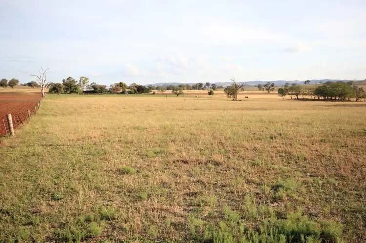 1950 Castlereagh Highway, Mudgee NSW 2850