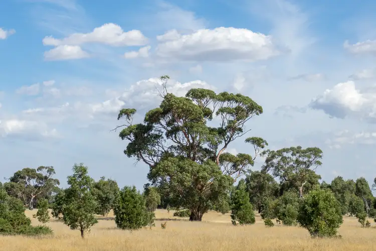 493 Old Melbourne Road, Ballan VIC 3342