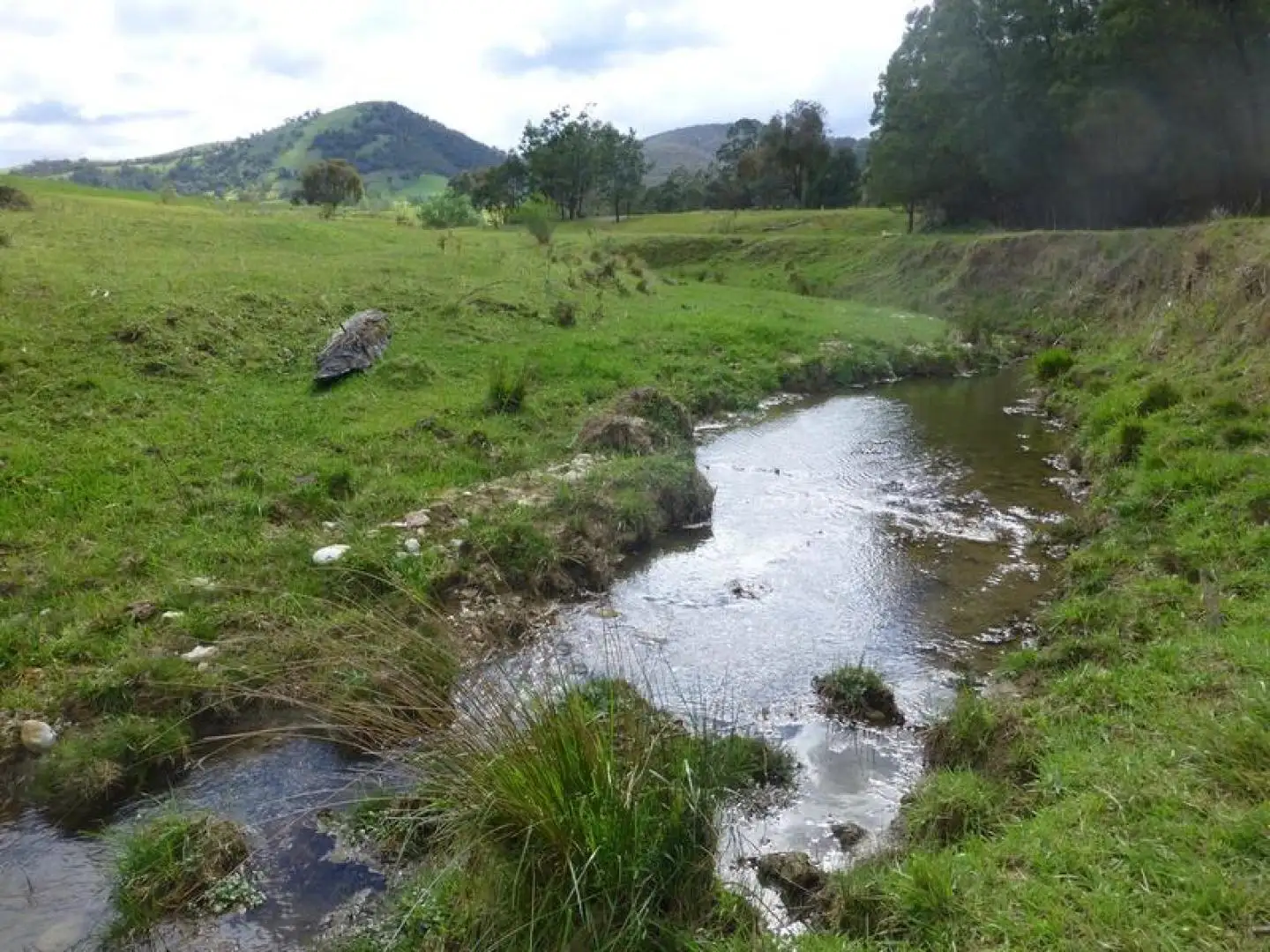 Main view of Homely rural property listing, 738 Bindi Road, Bindi VIC 3896
