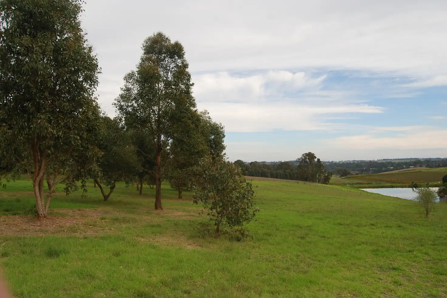 Main view of Homely land listing, 119 Waddells Road, Nicholson VIC 3882