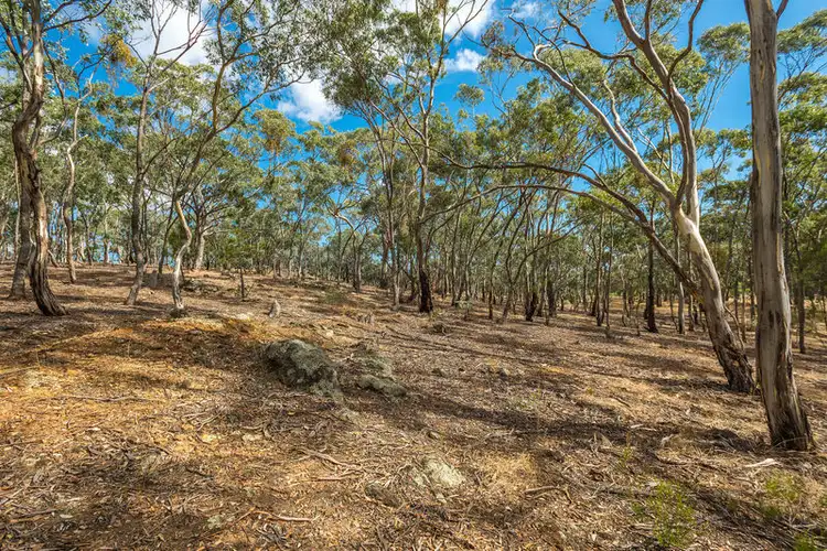 Fifth view of Homely rural property listing, 184 Locarno Road, Clydesdale VIC 3461
