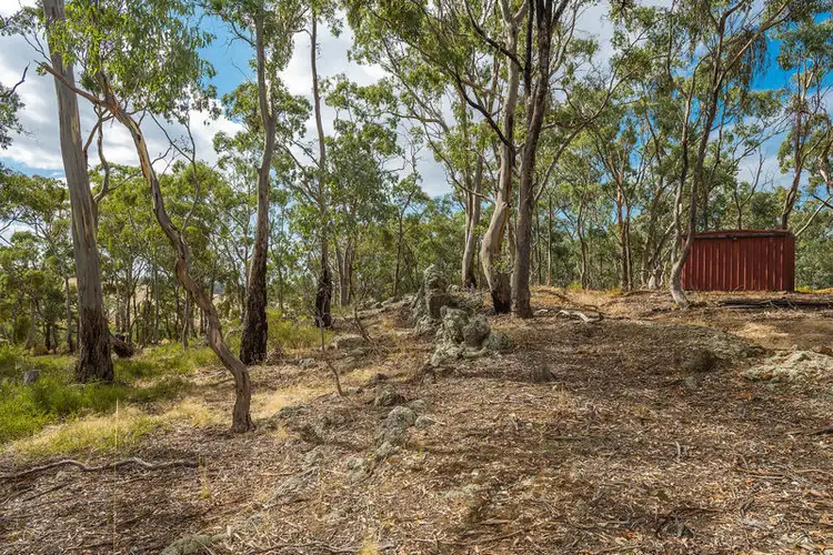Sixth view of Homely rural property listing, 184 Locarno Road, Clydesdale VIC 3461