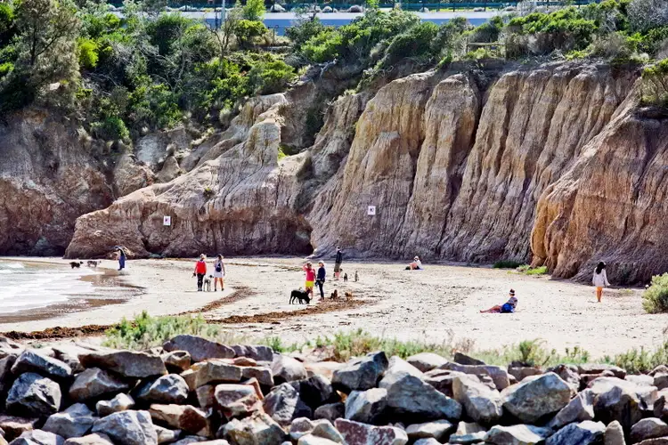 Fifth view of Homely land listing, 219 Marine Drive, Mount Martha VIC 3934