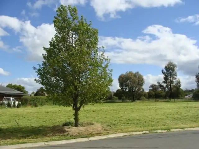 Third view of Homely land listing, 3 Pinot Court, Moama NSW 2731