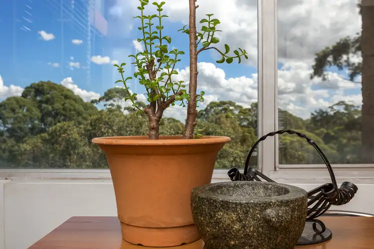 Fourth view of Homely apartment listing, 402/856 Pacific Highway, Chatswood NSW 2067
