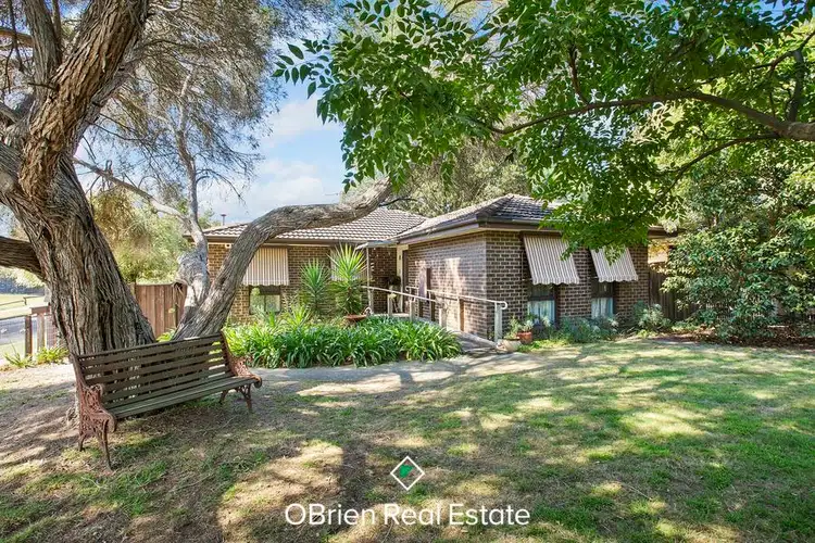 Main view of Homely house listing, 31 Sanderling Crescent, Mornington VIC 3931
