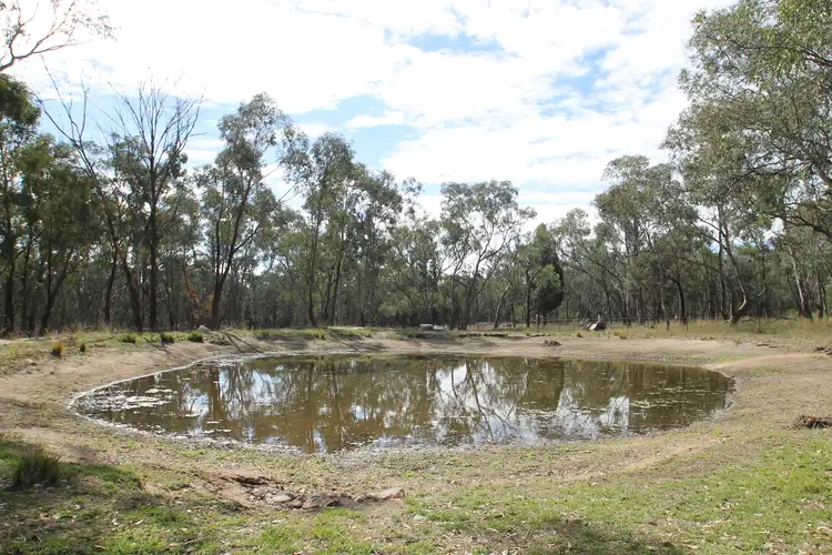 Main view of Homely rural property listing, 198 Cypress Drive, Mudgee NSW 2850