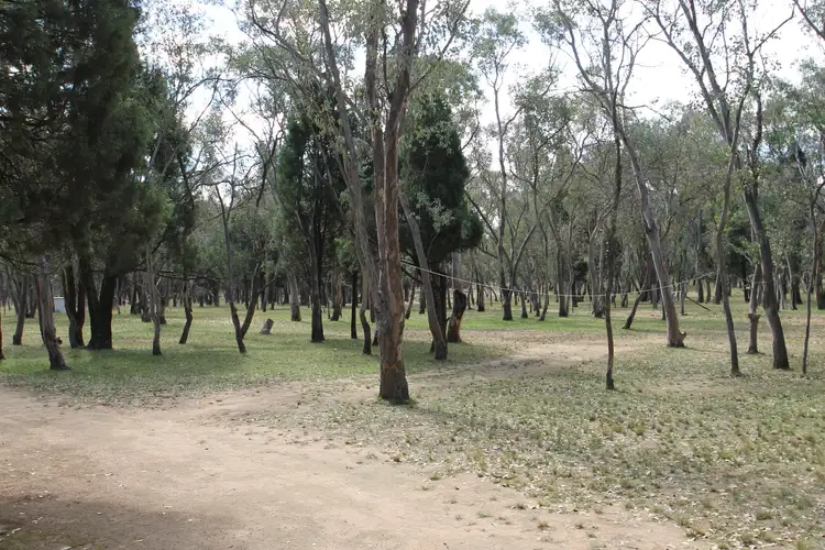 Fifth view of Homely rural property listing, 198 Cypress Drive, Mudgee NSW 2850