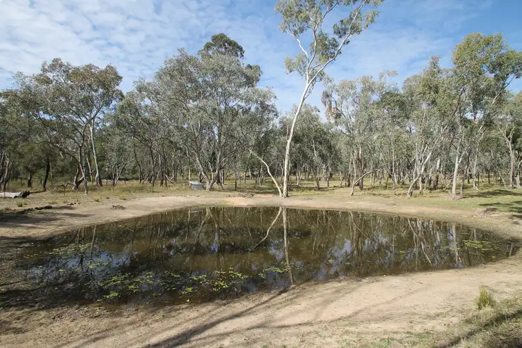 Sixth view of Homely rural property listing, 198 Cypress Drive, Mudgee NSW 2850