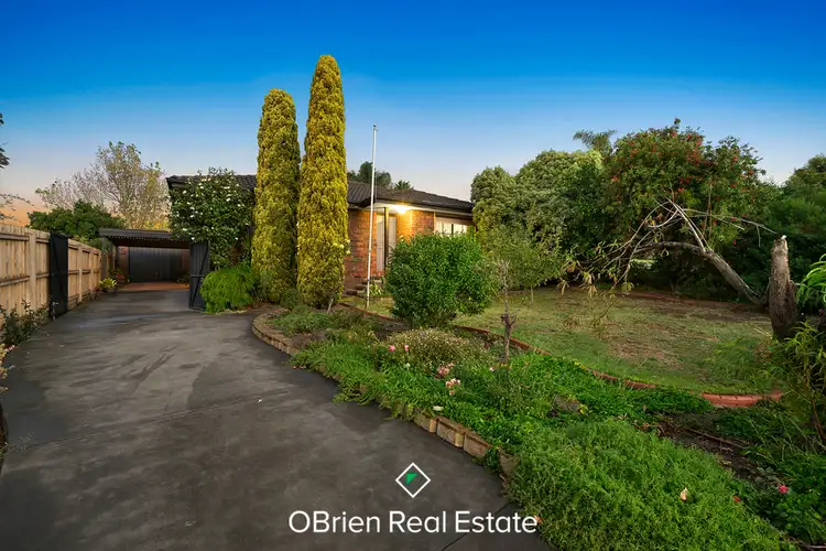 3 Orkney Close, Endeavour Hills VIC 3802
