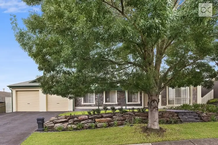 3 Mertz Court, Greenwith SA 5125