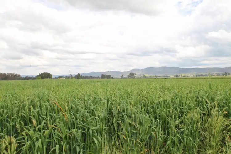 Third view of Homely rural property listing, 312 Wilbetree Road, Mudgee NSW 2850