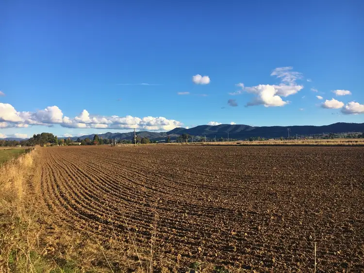 Fourth view of Homely rural property listing, 312 Wilbetree Road, Mudgee NSW 2850