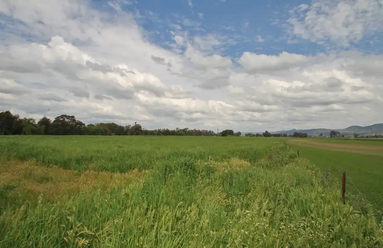 Fifth view of Homely rural property listing, 312 Wilbetree Road, Mudgee NSW 2850