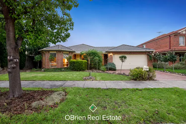 Main view of Homely house listing, 24 Grange Circuit, Beaconsfield VIC 3807