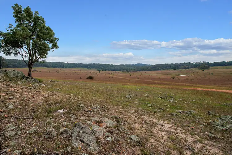 Seventh view of Homely rural property listing, 594 Drip Lane, Mudgee NSW 2850