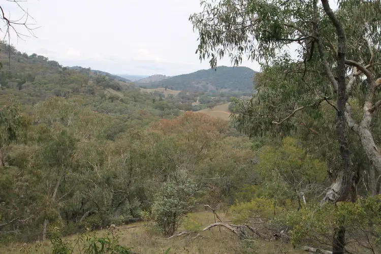 45 Kurrajong Lane, Mudgee NSW 2850