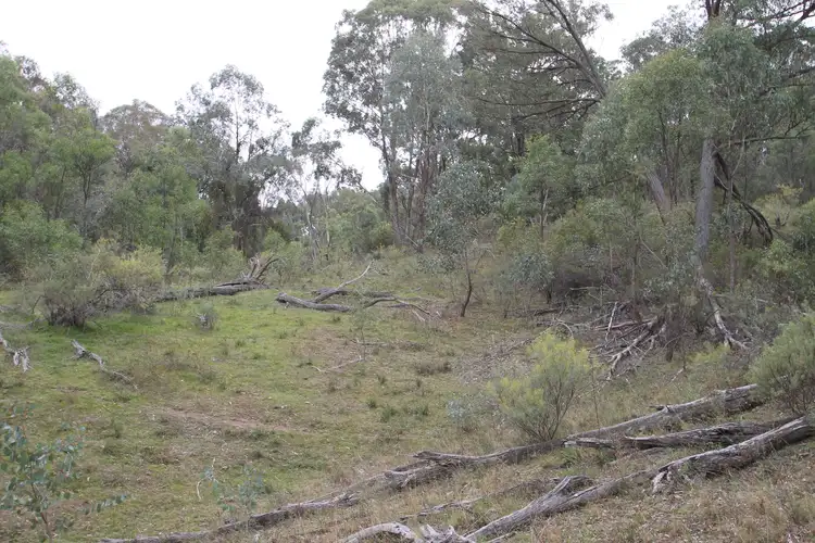 Third view of Homely rural property listing, 45 Kurrajong Lane, Mudgee NSW 2850