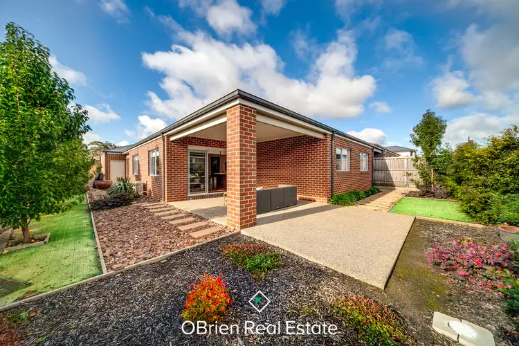 Sixth view of Homely house listing, 17 Red Maple Drive, Cranbourne West VIC 3977