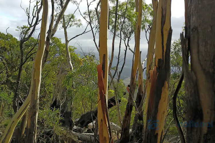 Sixth view of Homely land listing, Funslow Road, Collinsvale TAS 7012