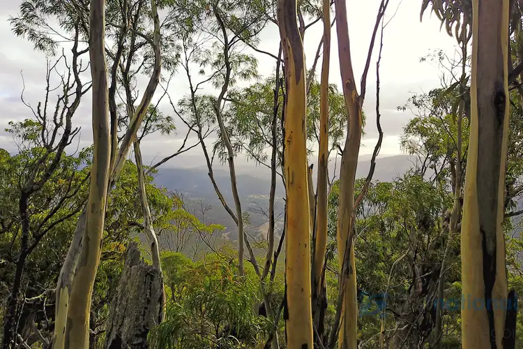 Seventh view of Homely land listing, Funslow Road, Collinsvale TAS 7012