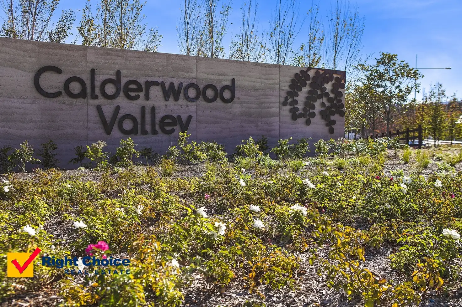 Main view of Homely land listing, 41 Honeybee Crescent, Calderwood NSW 2527