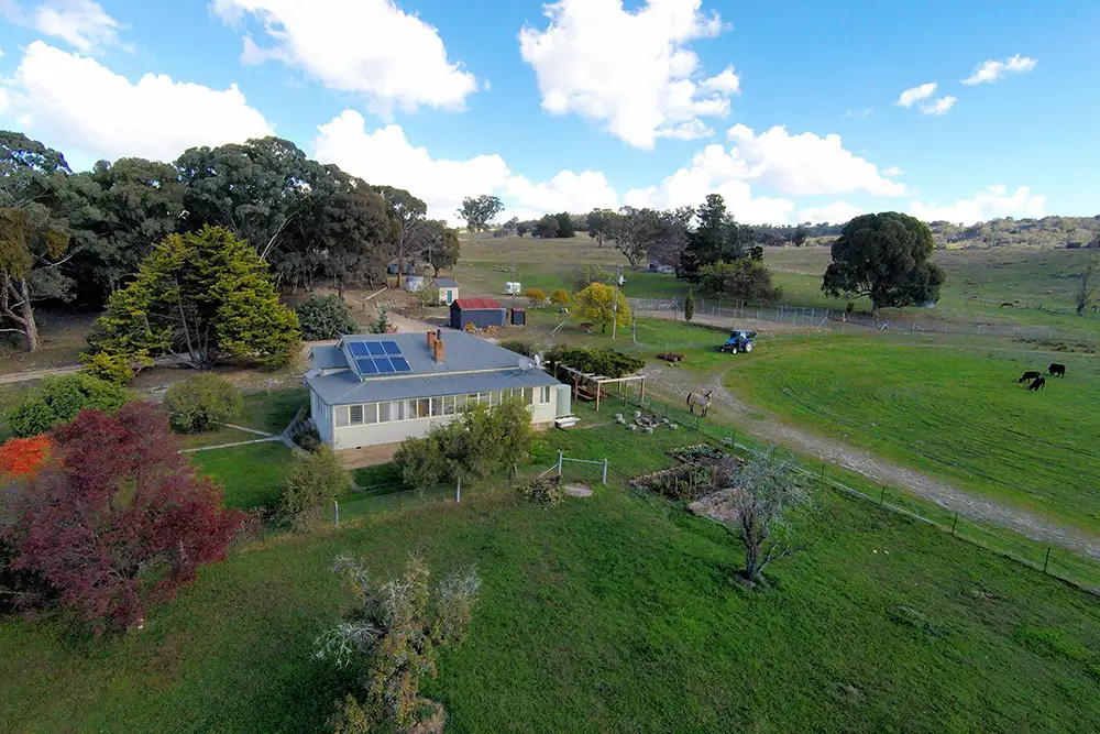 Main view of Homely rural property listing, 954 Pyramul Road, Mudgee NSW 2850