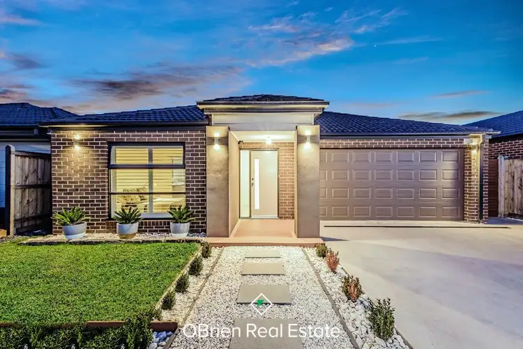 53 Elmtree Crescent, Clyde North VIC 3978
