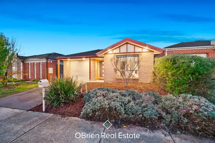 Main view of Homely house listing, 49 Abrus Circuit, Cranbourne North VIC 3977