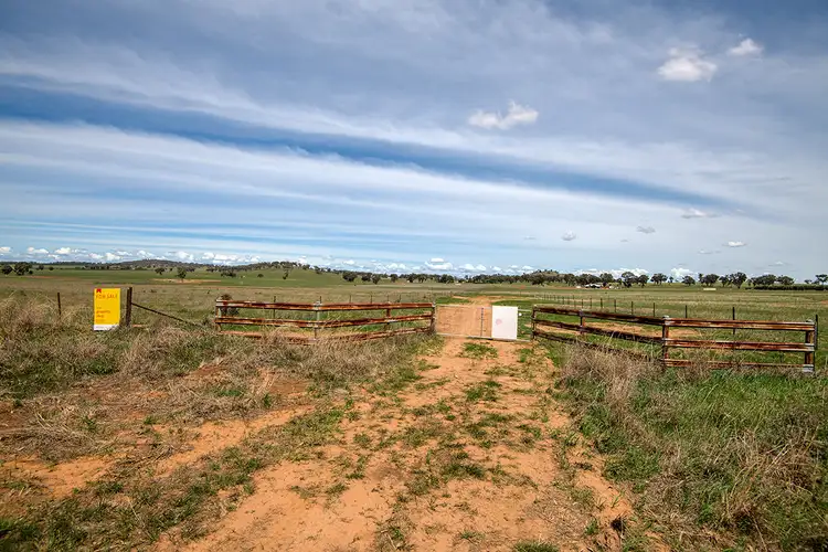 Fourth view of Homely rural property listing, 76 Zimmler Lane, Gulgong NSW 2852