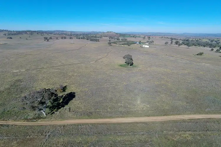 Second view of Homely rural property listing, 90 Zimmler Lane, Gulgong NSW 2852