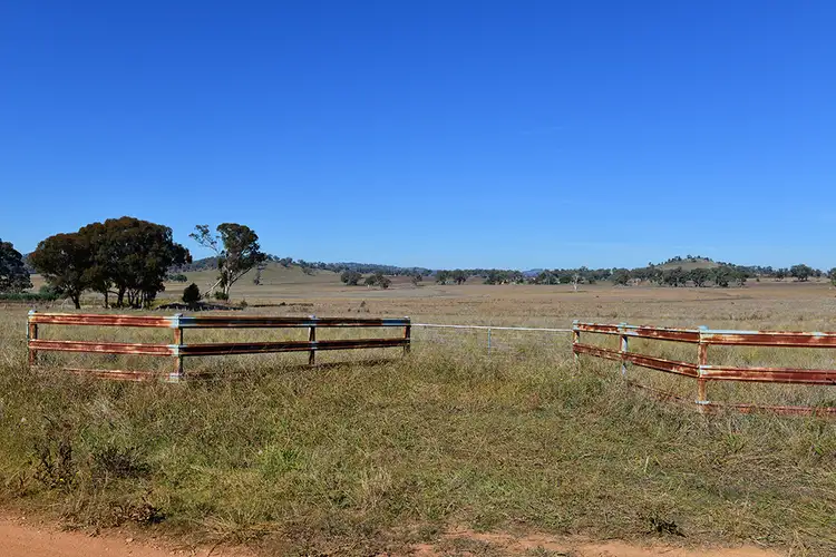 Second view of Homely rural property listing, 77 Grimshaw Lane, Gulgong NSW 2852